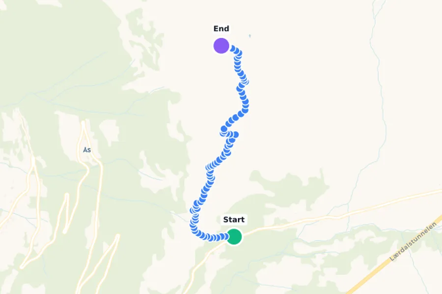 Prest Trailhead (parking and Bus stop) to Røygrind lookout (not Mt Prest Summit)