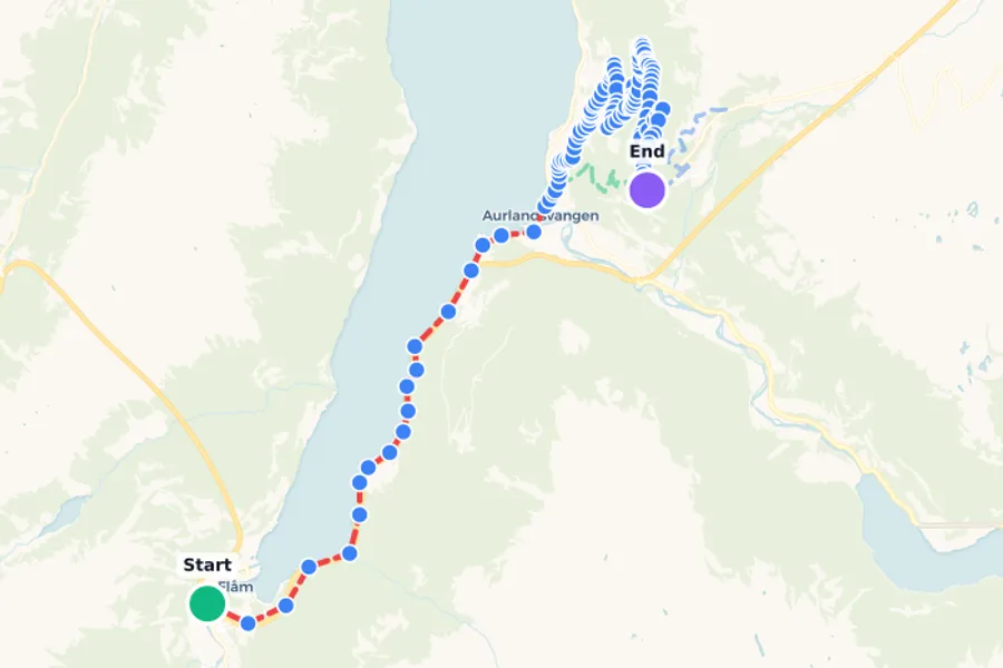 Bus from Flåm to Stegastein